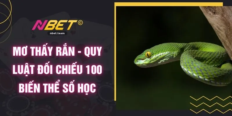 Mơ Thấy Rắn - Quy Luật Đối Chiếu 100 Biến Thể Số Học